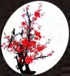 Gobo 1672