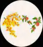 Gobo 1702