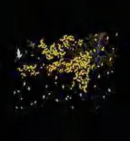 Gobo 1713