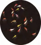 Gobo 1901