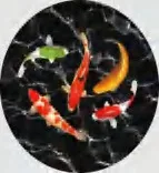 Gobo 1937