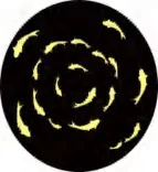 Gobo 1948