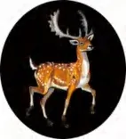 Gobo 2002