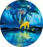 Gobo 2006