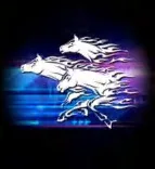 Gobo 2020
