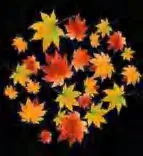 Gobo 2259