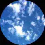 Gobo 226