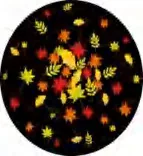 Gobo 2268