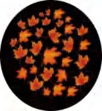 Gobo 2277