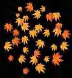 Gobo 2309