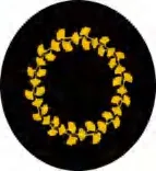 Gobo 2314