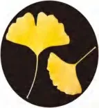 Gobo 2316