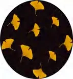 Gobo 2317