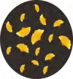 Gobo 2325