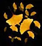 Gobo 2339