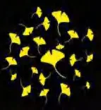 Gobo 2346