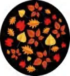 Gobo 2353