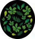 Gobo 2354