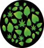 Gobo 2355