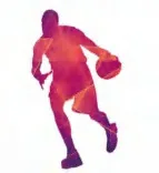 Gobo 2647
