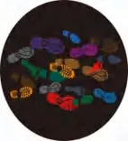 Gobo 2650