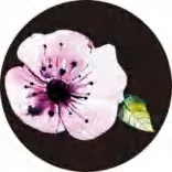 Gobo 2816