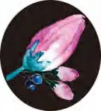 Gobo 2824
