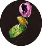 Gobo 2832