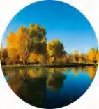 Gobo 514