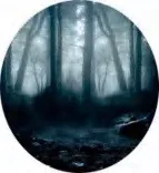 Gobo 518
