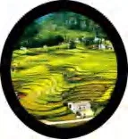 Gobo 522