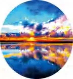 Gobo 529