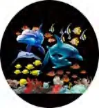 Gobo 589