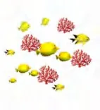 Gobo 592
