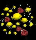 Gobo 593