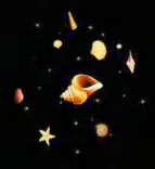 Gobo 617