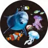 Gobo 634
