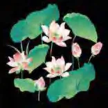 Gobo 635