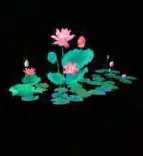 Gobo 648