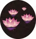 Gobo 662