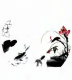 Gobo 684