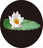 Gobo 695