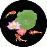 Gobo 727