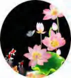 Gobo 728
