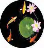 Gobo 732
