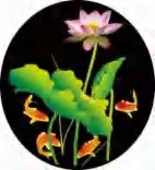 Gobo 754
