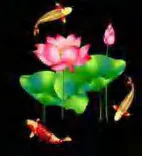 Gobo 783