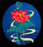 Gobo 790