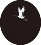 Gobo 809