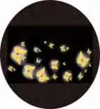 Gobo 893